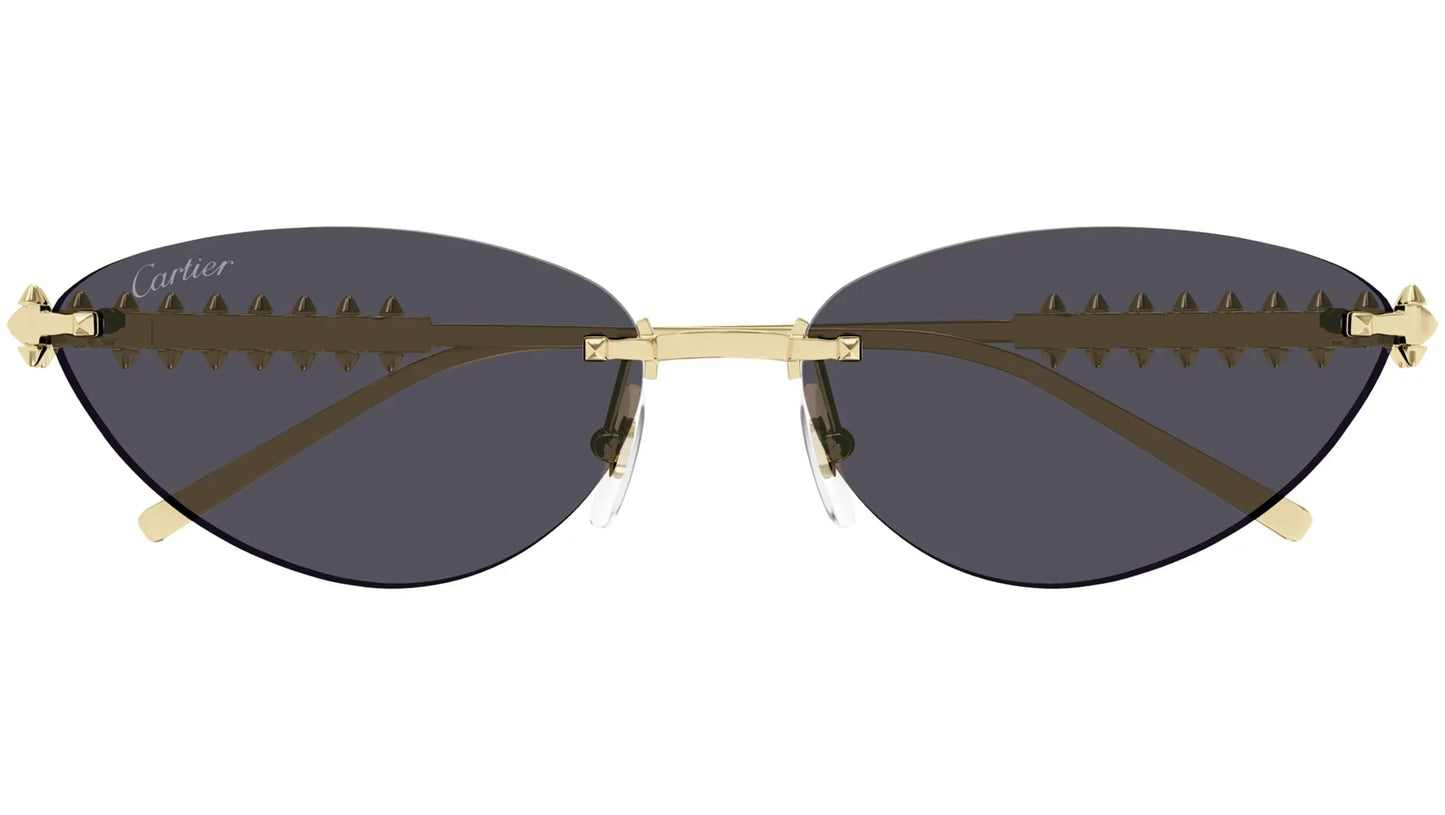 Lunettes de soleil rétro teintées premium 8864