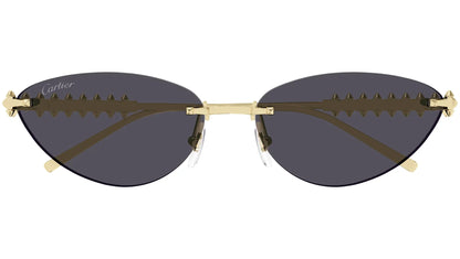 Lunettes de soleil rétro teintées premium 8864