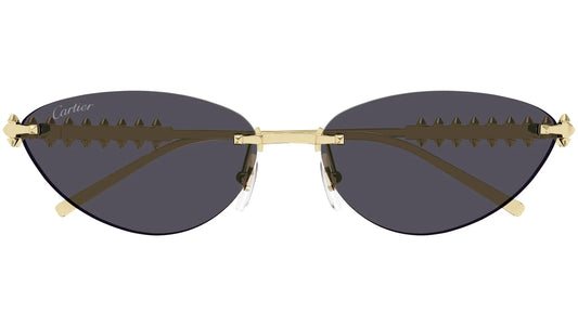 Lunettes de soleil rétro teintées premium 8864